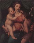 unknow artist The Madonna and child with the infant saint john the baptist oil painting reproduction